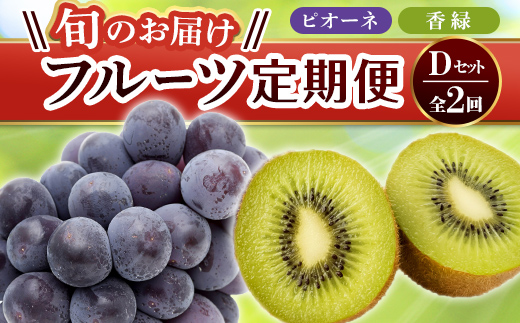 【フルーツ定期便 2回】 《香緑からスタート》 Dセット ピオーネ 約1.2kg 香緑 約3kg ぶどう キウイ キウイフルーツ 旬 果物 国産 香川県 フルーツ定期便 F5J-782