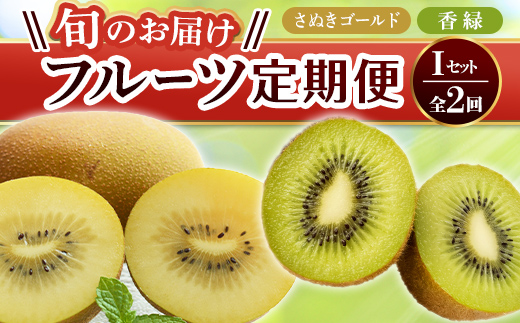【フルーツ定期便 2回】 《香緑からスタート》 I セット さぬきゴールド 約2.7kg 香緑 約3kg キウイ キウイフルーツ 旬 果物 国産 香川県 フルーツ定期便 F5J-787