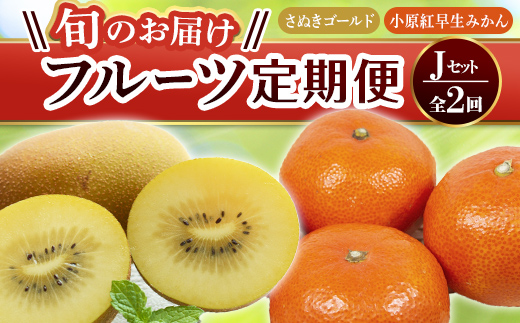 【フルーツ定期便 2回】 《小原紅早生みかんからスタート》 Jセット さぬきゴールド 約2.7kg 小原紅早生みかん 約4.5kg キウイ キウイフルーツ みかん 柑橘 旬 果物 国産 香川県 フルーツ定期便 F5J-788