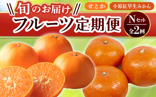【フルーツ定期便 2回】 《小原紅早生みかんからスタート》 Nセット 小原紅早生みかん 約4.5kg せとか 約5kg みかん 柑橘 旬 果物 国産 香川県 フルーツ定期便 F5J-792