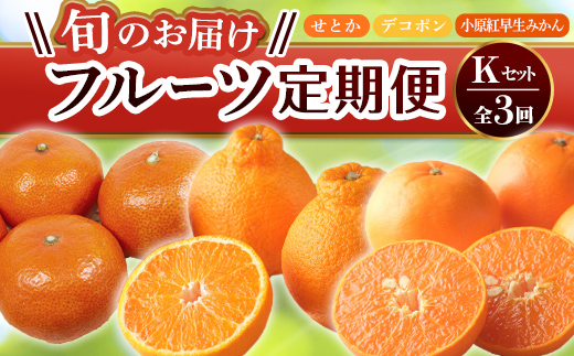 【フルーツ定期便 3回】 《小原紅早生みかんからスタート》 Kセット小原紅早生みかん 約4.5kg せとか 約5kg デコポン 約5kg みかん 柑橘 旬 果物 国産 香川県 フルーツ定期便 F5J-803