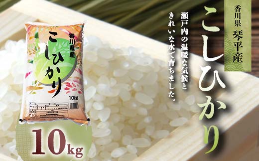 令和5年度産 香川県琴平産コシヒカリ 10kg 銘柄米 ブランド米 国産 こしひかり コシヒカリ 米 精米 お米 ライス ギフト 贈り物 四国 F5J-426