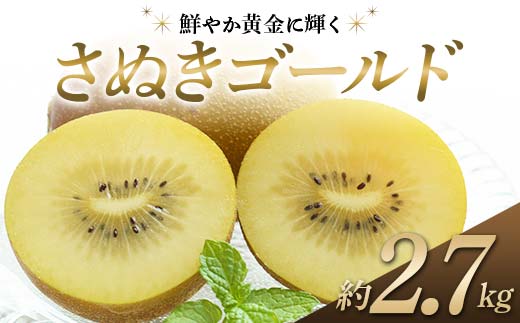 【先行予約】《2026年10月中旬～11月中旬頃お届け》 キウイ さぬきゴールド 鮮やか黄金に輝く ゴールドキウイ 約2.7kg 香川県産 大粒キウイ キウイフルーツ ゴールデンキウイ フルーツ 果物 くだもの 旬のフルーツ 旬の果物 香川 香川県共通返礼品 F5J-543