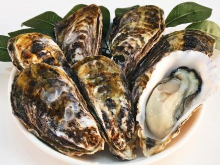 殻付活牡蠣カンカン焼セット3kg(加熱用)（予約受付中：旬にお届け！2025年12月中旬頃から期間限定出荷！）【H-1】