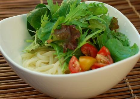 【冷うどんが旨い！】ひやひや純生うどんセット(10人前)【L-17】