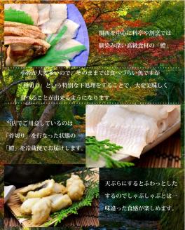 鱧骨切りしゃぶしゃぶ用（2人前）【予約受付中！令和7年7月頃より！天然物につき捕れ次第発送！】【A-4】