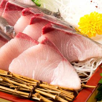 活け〆オリーブぶり１本（一本丸ごと）【12月頃から出荷開始！】【D-511】