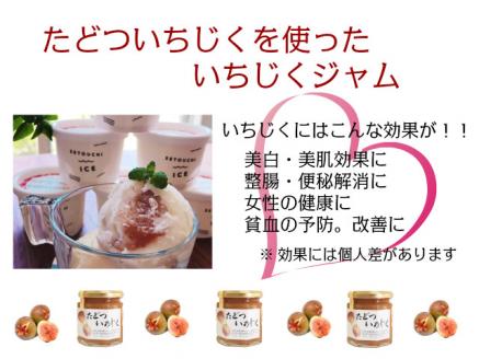 たどついちじく×さっぱりミルクアイス（１６個セット）【予約受付中！2023年7月下旬より発送】【B-6】