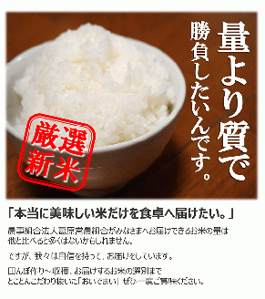 多度津町産 新米 おいでまい【令和7年産新米:11月頃より発送】（白米８kg）【A-11】