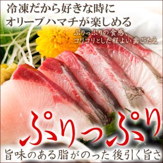 オリーブハマチ　冷凍　柵２本【A-105】