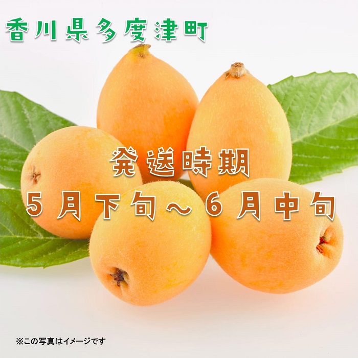 【予約受付中！令和8年6月上旬頃より発送！】なつたより（びわ）約1kg【A-41】