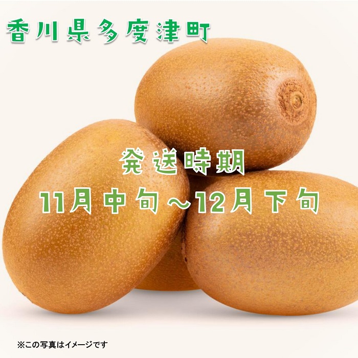 香川県オリジナルキウイフルーツ「さぬきキウイっこ®」1.3kg【予約受付中！令和7年11月上旬頃から発送】【A-46】