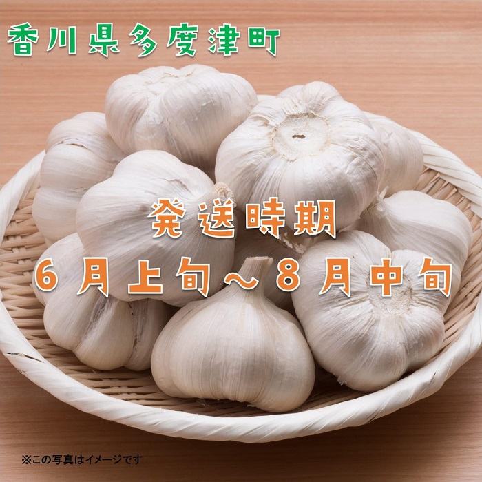 多度津町産　乾燥にんにく【予約受付中： 令和8年6月中旬より発送！】【B-21】