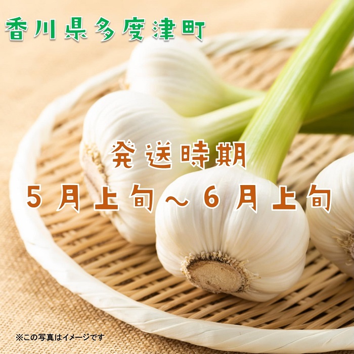 多度津町産　生にんにく【予約受付中！令和8年5月上旬頃から発送】【B-22】
