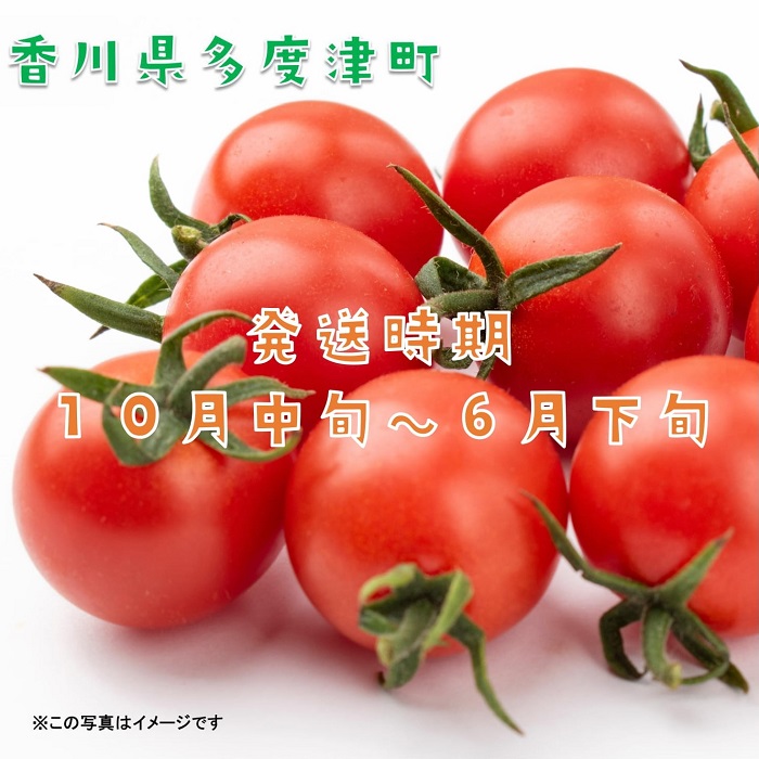 ミニトマト　約３kg【B-23】