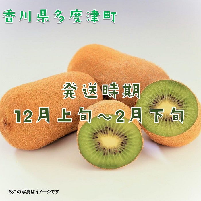 香川県オリジナルキウイフルーツ「香緑」約3.5kg【予約受付中！令和7年11月下旬頃から発送】【B-31】