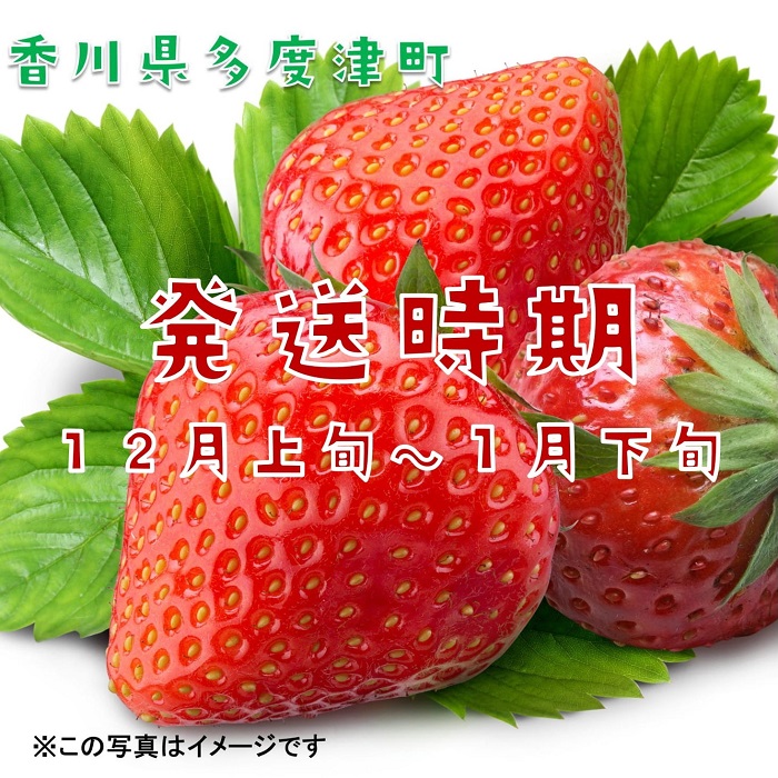 さぬきひめいちご 約1kgDXパック【予約受付中：令和7年12月より発送】【B-48】