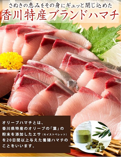 期間限定受付　オリーブハマチ１本まるごと（四分一カット）【C-233】