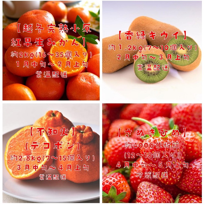 【フルーツ定期便】フルーツ王国さぬきの旬のフルーツを毎月１種類ずつお届け【G-8】