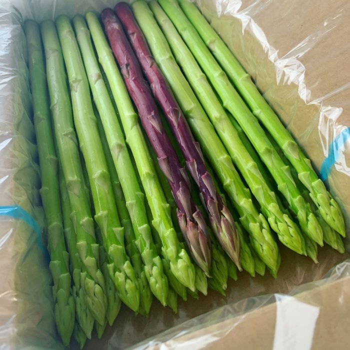 アスパラ王子が育てた自慢のアスパラ「Lサイズ」1kg（さぬきのめざめ　おおもりや）【予約受付：令和8年3～4月頃から順次発送】【H-54】