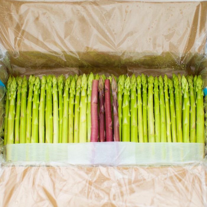 アスパラ王子が育てた自慢のアスパラ　おおもりやオリジナル　穂だけアスパラ1kg【予約受付：令和8年4月頃より御用意出来次第発送】【H-77】