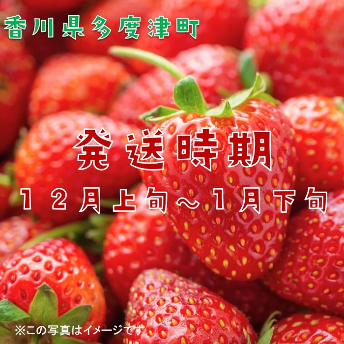 さぬきひめいちご 約400g化粧箱入り(12～18粒)【予約受付中：令和7年12月より発送】【L-39】