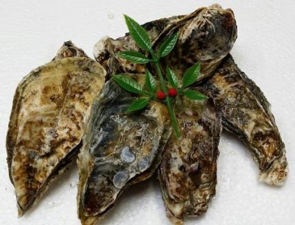 多度津町産 白方かき 焼き小屋さと自家製　かきのオイル漬け　70g×３袋【令和8年1月頃から4月頃までの期間限定出荷】【L-28】