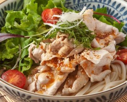 しあわせ製麺の本場讃岐純生うどん大盛45人前 つゆ付き【H-39】