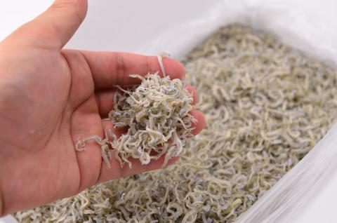 ちりめんじゃこ！！【予約受付中：令和8年6月より発送！旬に 獲れ立て発送！】上乾ちりめん（1kg）【A-5】