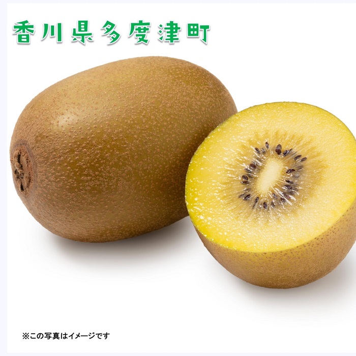 香川県オリジナルキウイフルーツ『さぬきゴールド』約3kg【予約受付中！令和7年10月中旬頃から発送】【B-17】