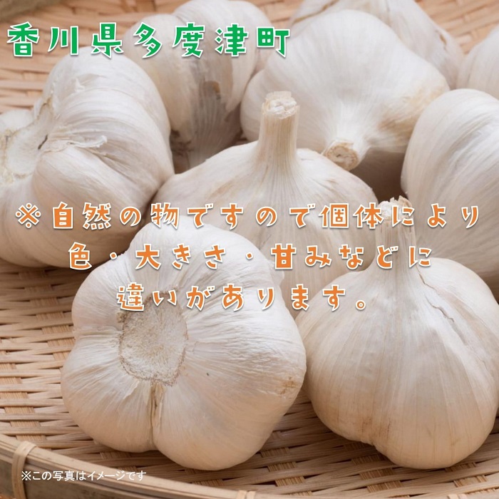 多度津町産　乾燥にんにく【予約受付中： 令和8年6月中旬より発送！】【B-21】