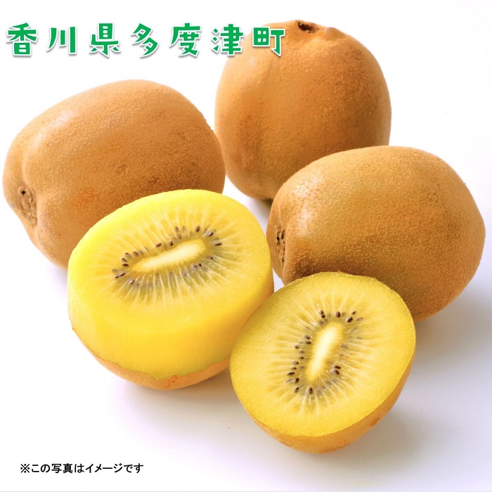 香川県オリジナルキウイフルーツ『さぬきゴールド』大玉約3.5kg【予約受付中！令和7年10月中旬頃から発送】【C-16】