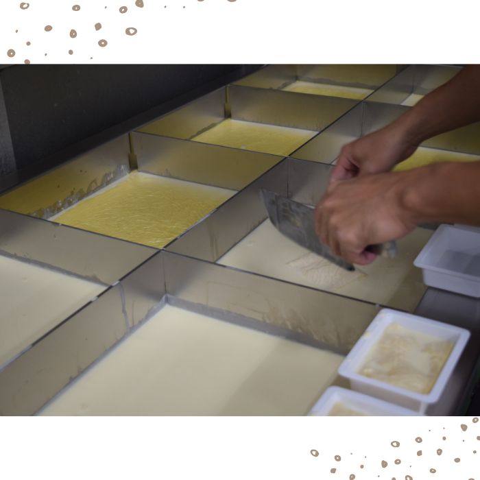 【リピーター続出】湯葉刺し6個パック【L-68】