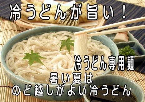 【定期便】うどん屋めん一の季節を感じる純生うどんセット(8人前) 年間6回定期発送【D-9】
