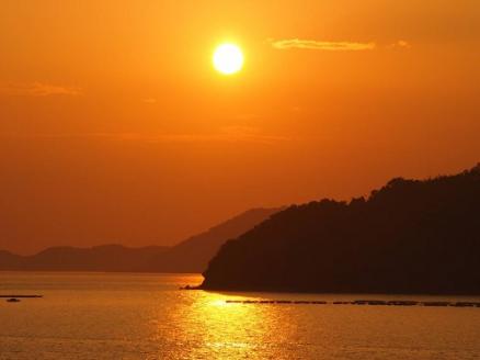 香川県 多度津町産 白方かき むき身（加熱用）200g×5袋【令和8年1月頃から4月頃までの期間限定出荷】【A-88】