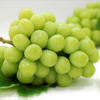 【フルーツ定期便】さぬき讃フルーツ６種類 旬のフルーツを１種類ずつお届け【G-4】