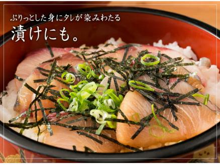 活け〆オリーブぶり１本（半身カット）【12月頃から出荷開始！】【D-512】