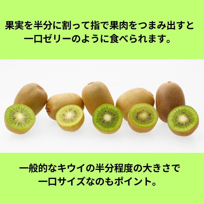 香川県オリジナルキウイフルーツ「さぬきキウイっこ®」1.3kg【予約受付中！令和7年11月上旬頃から発送】【A-46】