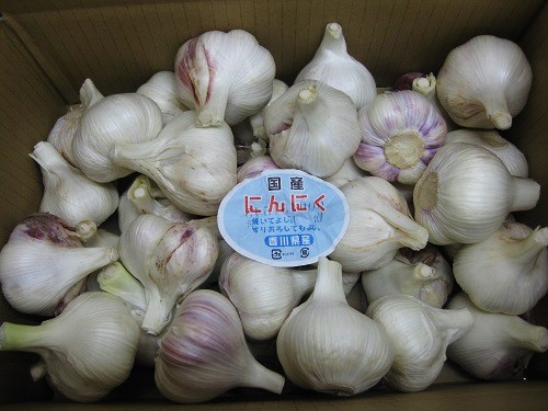 多度津町産　生にんにく【予約受付中！令和8年5月上旬頃から発送】【B-22】