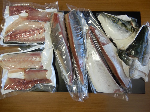 期間限定受付　オリーブハマチ１本まるごと（四分一カット）【C-233】