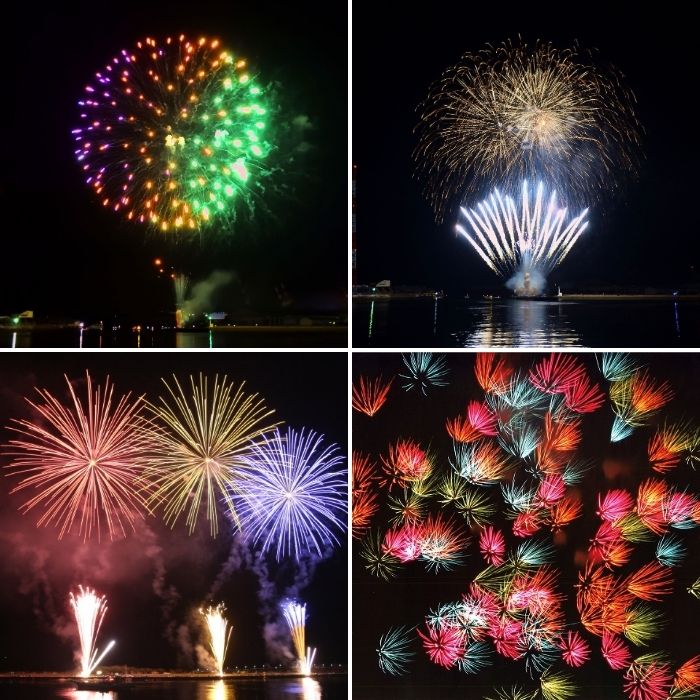 【返礼品なし】たどつ港まつり花火大会 応援ふるさと納税【G-10】