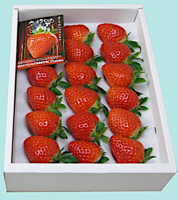 さぬきひめいちご 約400g化粧箱入り(12～18粒)【予約受付中：令和7年12月より発送】【L-39】