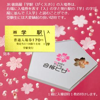 合格ピザ２箱セット【A-54】