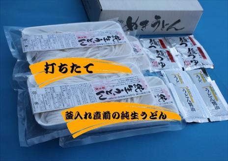 純生！これぞ真髄！本場さぬきうどんめん一の打ちたてうどんセット(8人前)【L-5】