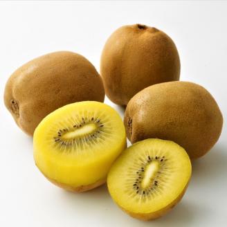 【フルーツ定期便】さぬき讃フルーツ６種類 旬のフルーツを１種類ずつお届け【G-4】