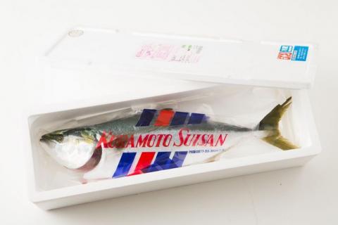 オリーブはまち１本まるごと【予約受付：令和7年10月中旬頃から出荷開始！】【C-311】