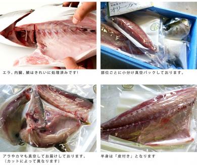 オリーブはまち１本まるごと（半身カット）【予約受付：令和7年10月中旬頃から出荷開始！】【C-312】