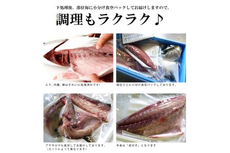 オリーブはまち１本まるごと（四分一カット）【予約受付：令和7年10月中旬頃から出荷開始！】【C-313】