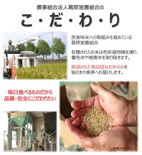 多度津町産 新米 おいでまい【令和7年産新米:11月頃より発送】（白米８kg）【A-11】