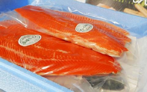 オリーブサーモン １尾（半身カット）【予約受付中！令和8年4月頃から限定出荷分】【B-512】